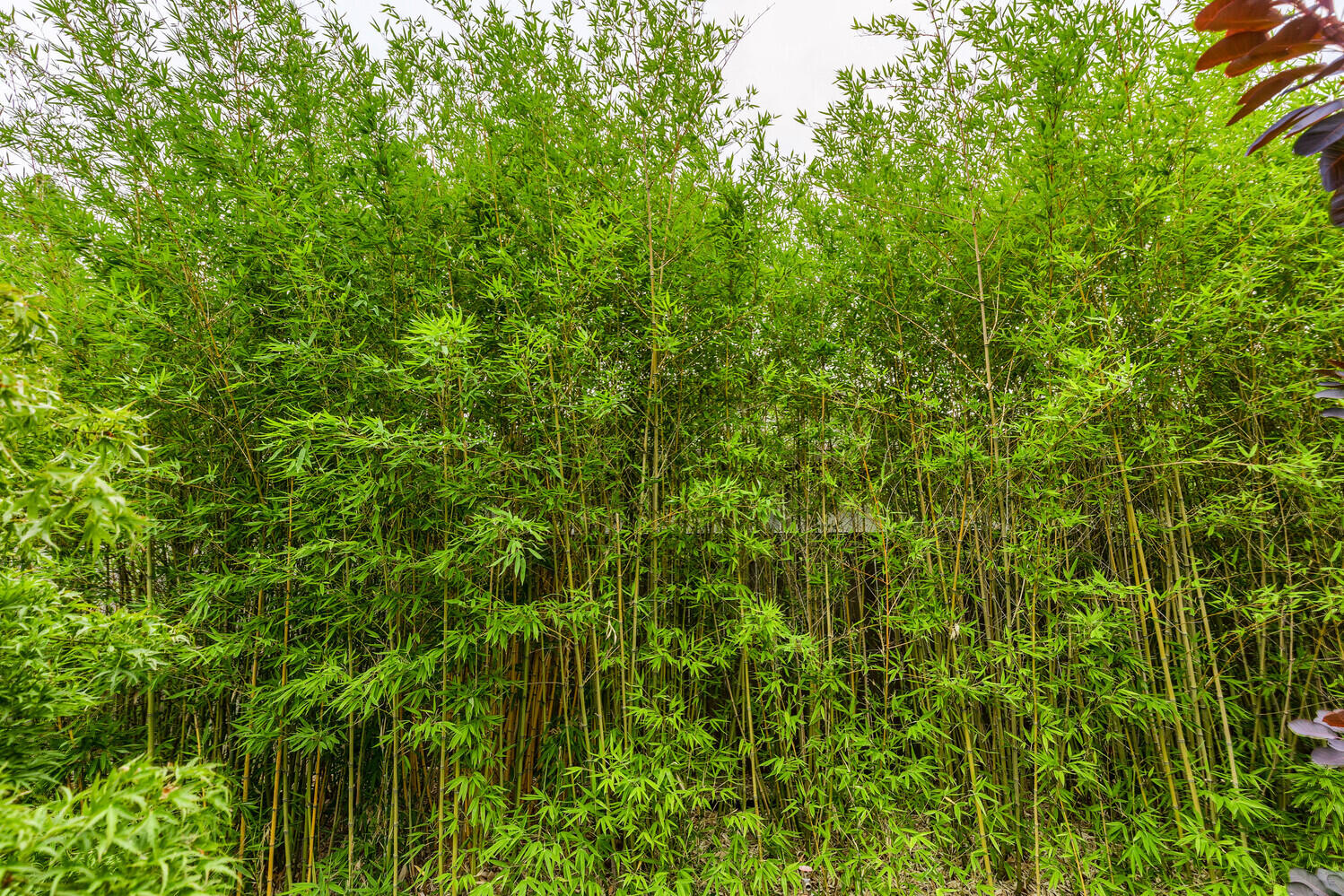 Mountain Ranch Subdivision Unit No 2 - Residential