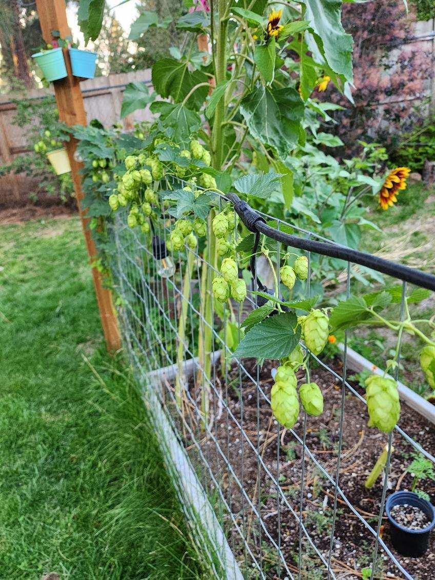 Deschutes RiverWoods - Residential