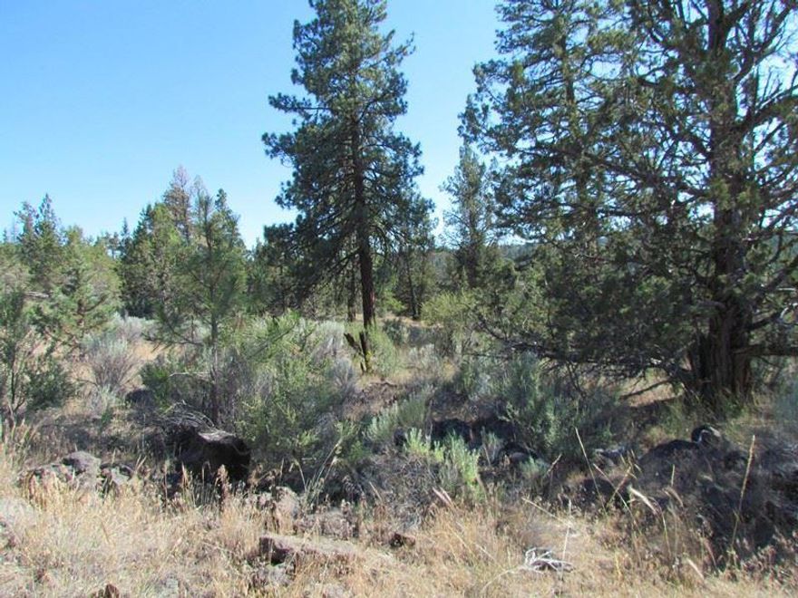 Nice, Private 3.2 Acres With Slight Slope, Capping Fill Septic Approval And Partial View. Several Potential Home Sites Offering Plenty Of Privacy. Some Distance From Power, Few Neighbors Which Means Little Traffic. This Area Comes With Yr Round Road Maintenance That Includes Graveling, Grading And Snow Removal But Because Nobody Lives This Far Back, This Portion Of Road Is Currently Not Maintained & Is Rough ( See Below ) . Many Miles Of Dirt Rd To Explore On Horseback, Quads Or Hiking. Blm Nearby!Power Not Far But Solar Is An Option With Good Southern Exposure. Capping Fill Septic Information In In Associated Documents. **** Caution **** The Road To The End Of Brant Is Ok But Where Brant Meets Widgeon It Is Very Rough, Washed Out With Rocks And Large Ruts. A Passenger Car Will Bottom Out And Get Stuck. 4x4 Recommended Or Park On Brant And Walk Or Go Down To Bufflehead All The Way To The End And Go Up, I Do Not Know What That Portion Of Road Is Like.