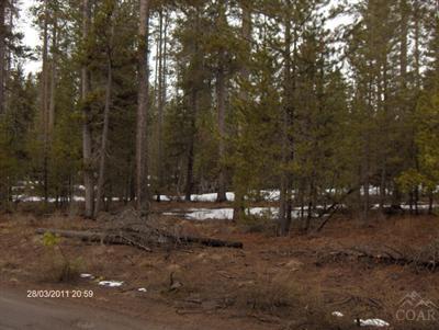 Terra De Oro Est - Land