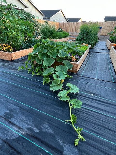 Canyon Trails - Residential