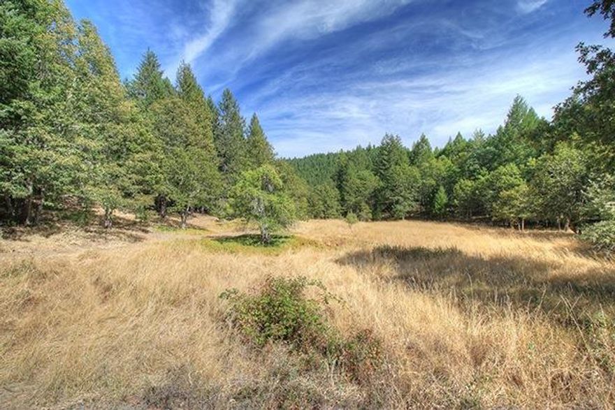 Not many like this left anywhere near Grants Pass...and especially in this area and for this price. 7.83 buildable acres at 101 McMullen Creek Rd, just 1/3 mile from Lake Selmac and 20 miles/minutes from Grants Pass. Absolutely beautiful mix of flat, picturesque field and rolling wooded hills, well cleared of underbrush, seasonal creek, lots of wildlife, with ample flat and cleared area for large garden.Great potential home site, lots of water in the area, with the property next door boasting SEVERAL natural springs.