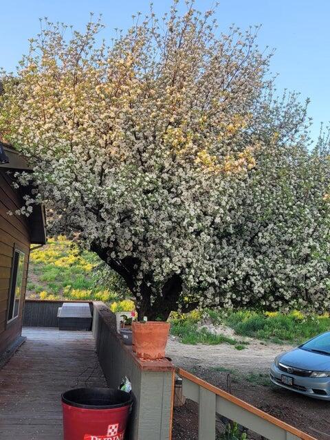 Sprague River - Residential