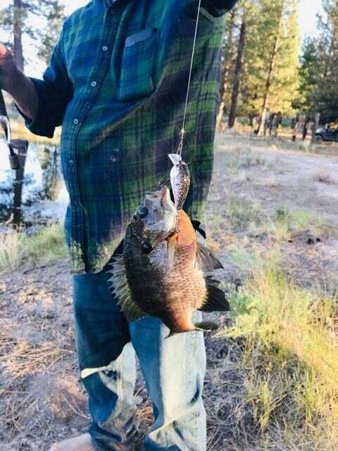 Sprague River - Residential