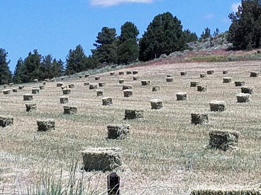 Sprague River - Residential