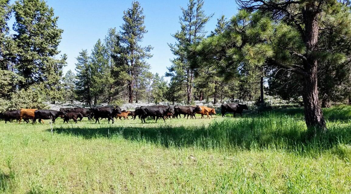 Sprague River - Residential