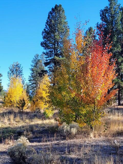 Sprague River - Residential