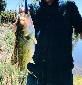 Sprague River - Residential