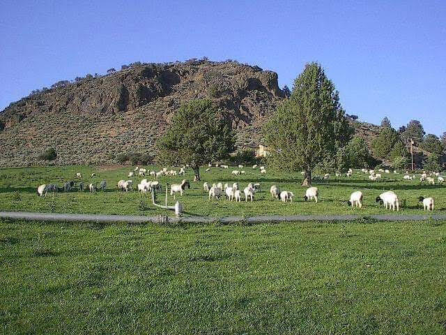 Sprague River - Residential