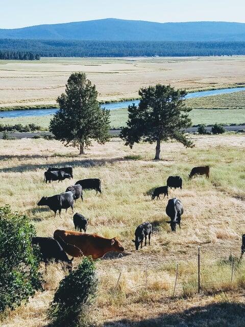Sprague River - Residential