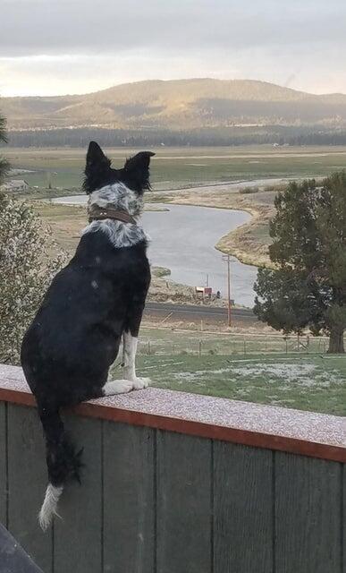 Sprague River - Residential