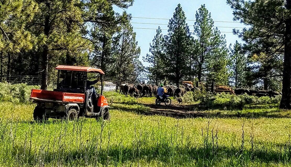 Sprague River - Residential