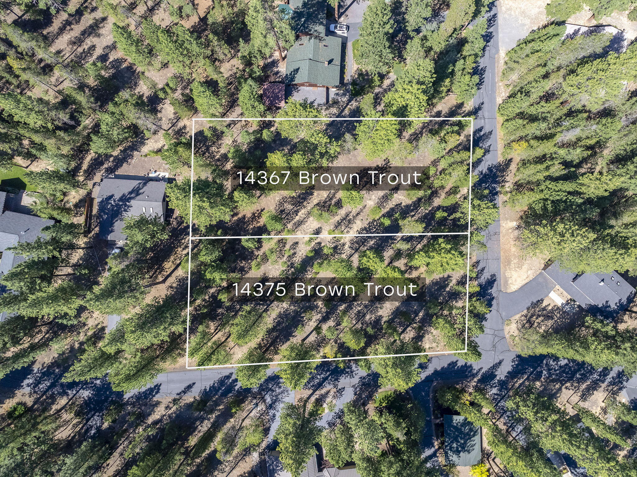 14375 Brown Trout Way