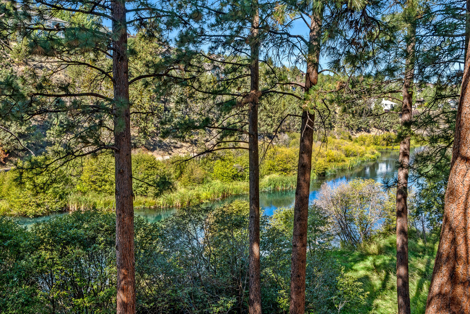 Deschutes Pointe - Residential