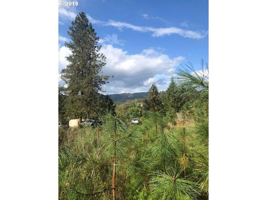Amazing opportunity for a single or multi occupancy dwelling. There is 4 tax lots totaling 9.13 acres. The city water and sewer are located on the street. Investors/Builders Canyonville needs more housing.