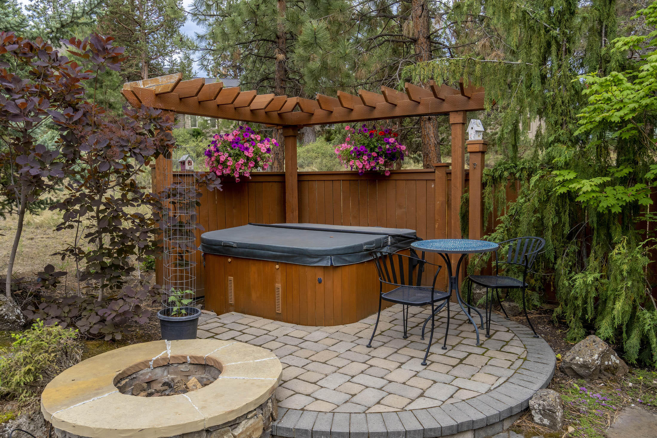 Mountain Pine - Residential