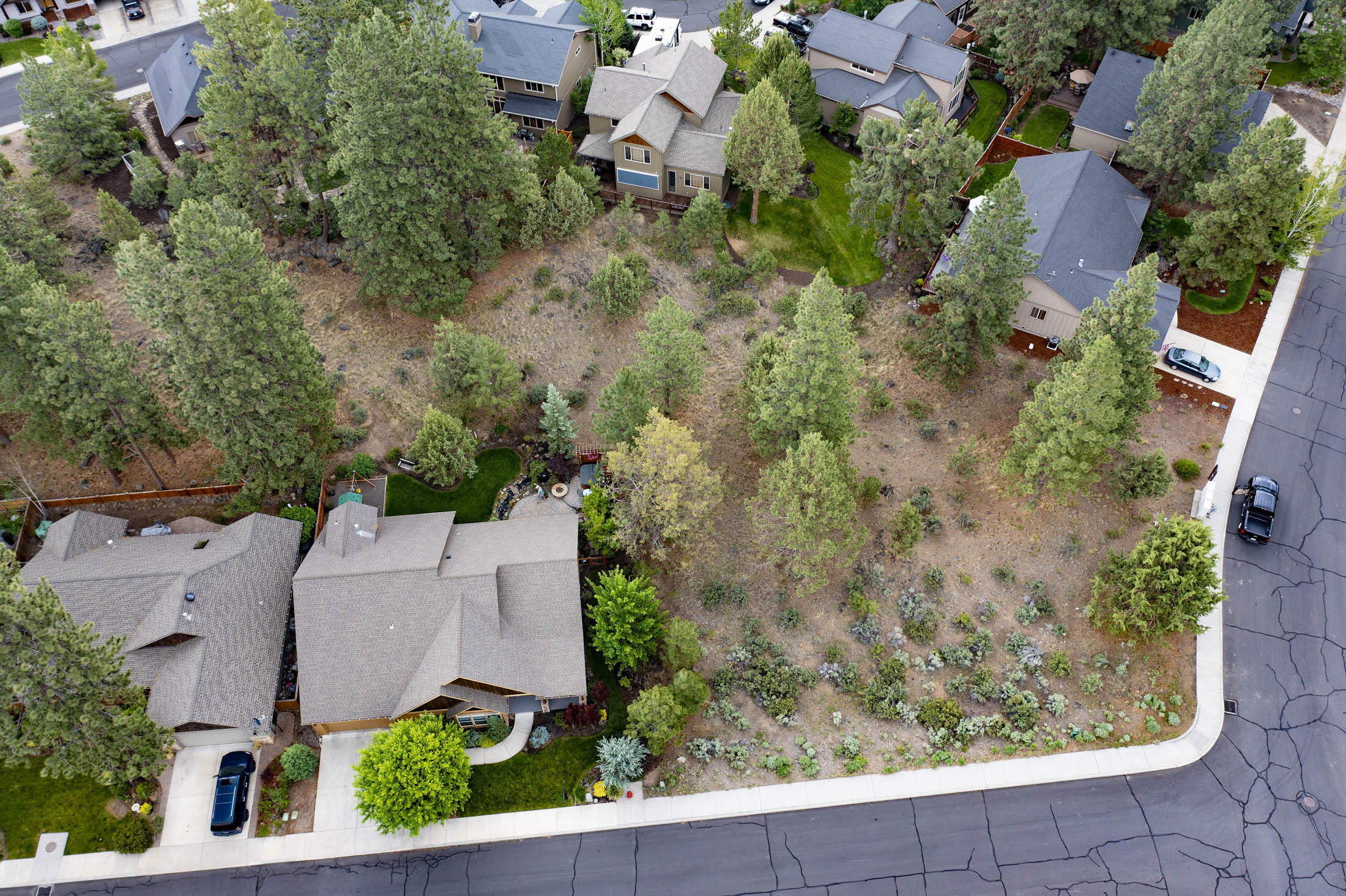 Mountain Pine - Residential