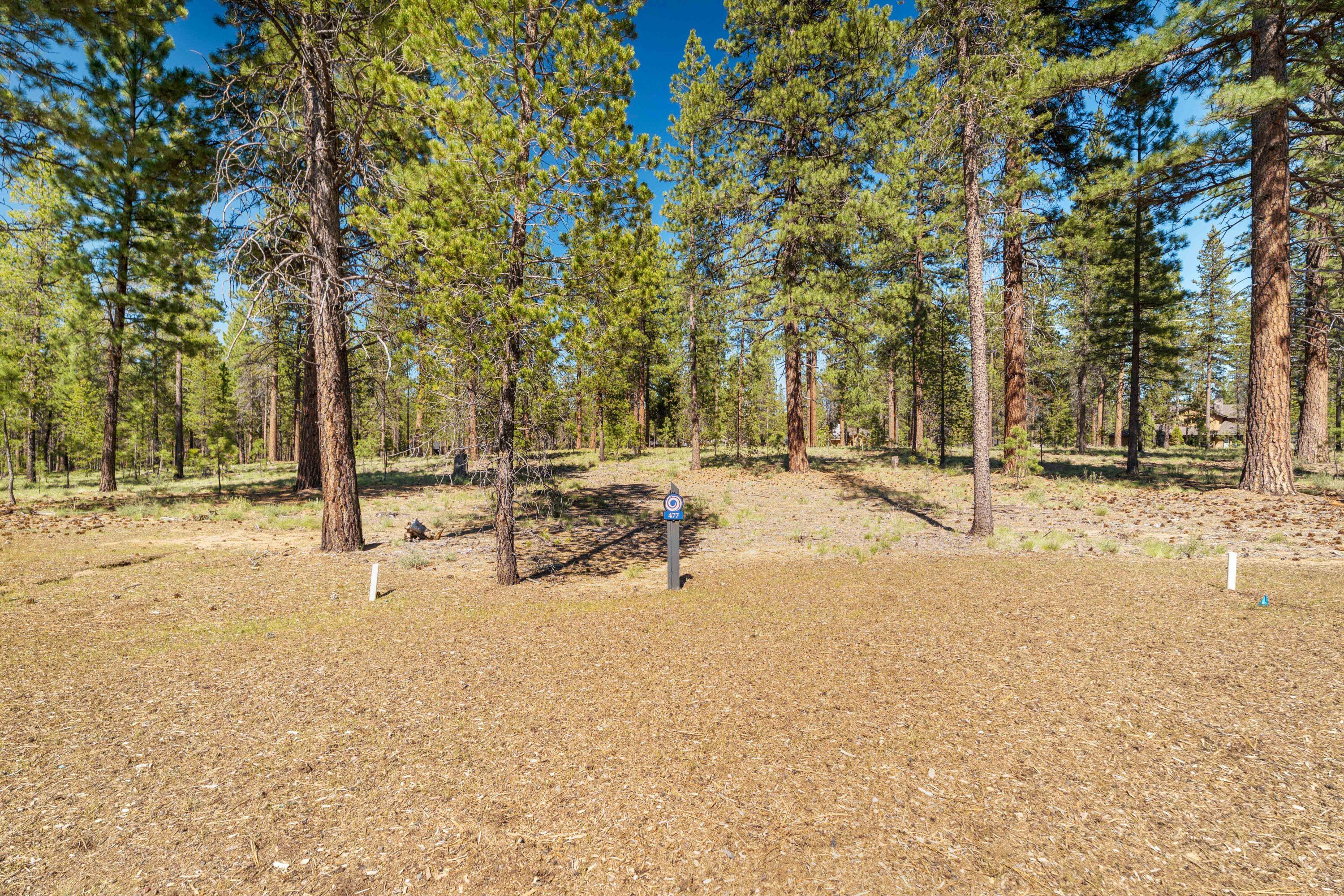 17719 Redtail Loop 477
