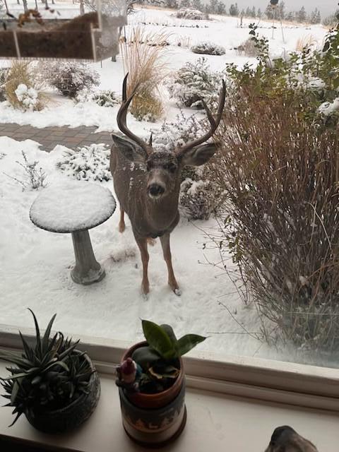 Happy Trails - Residential