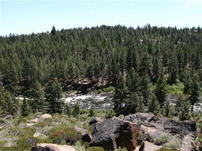 Mt Bachelor Village - Residential