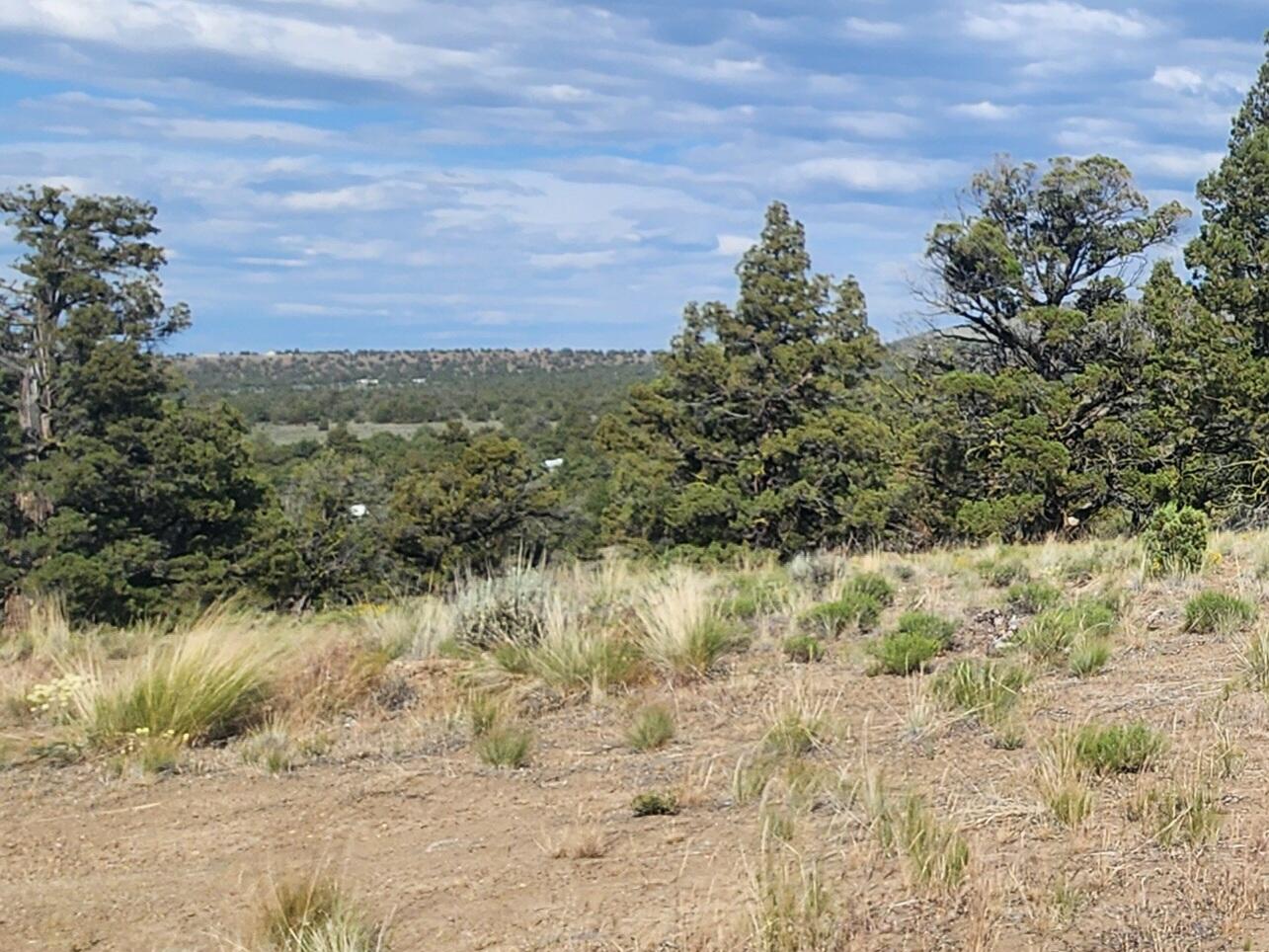 Juniper Acres - Land