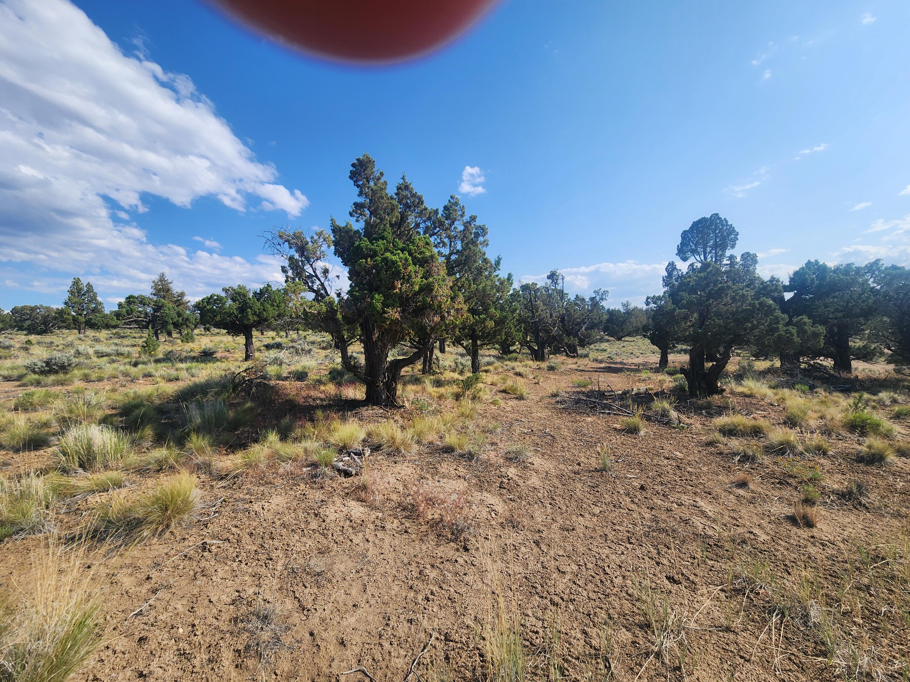 Juniper Acres - Land