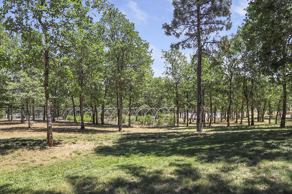 Falcon Ridge Estates - Residential