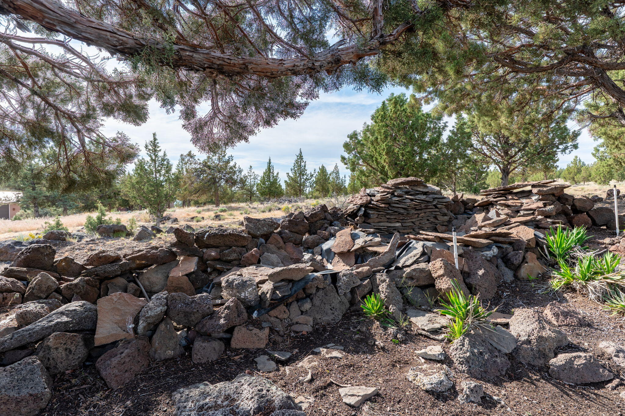Round Butte - Residential