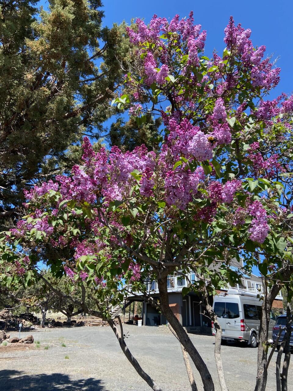 Round Butte - Residential