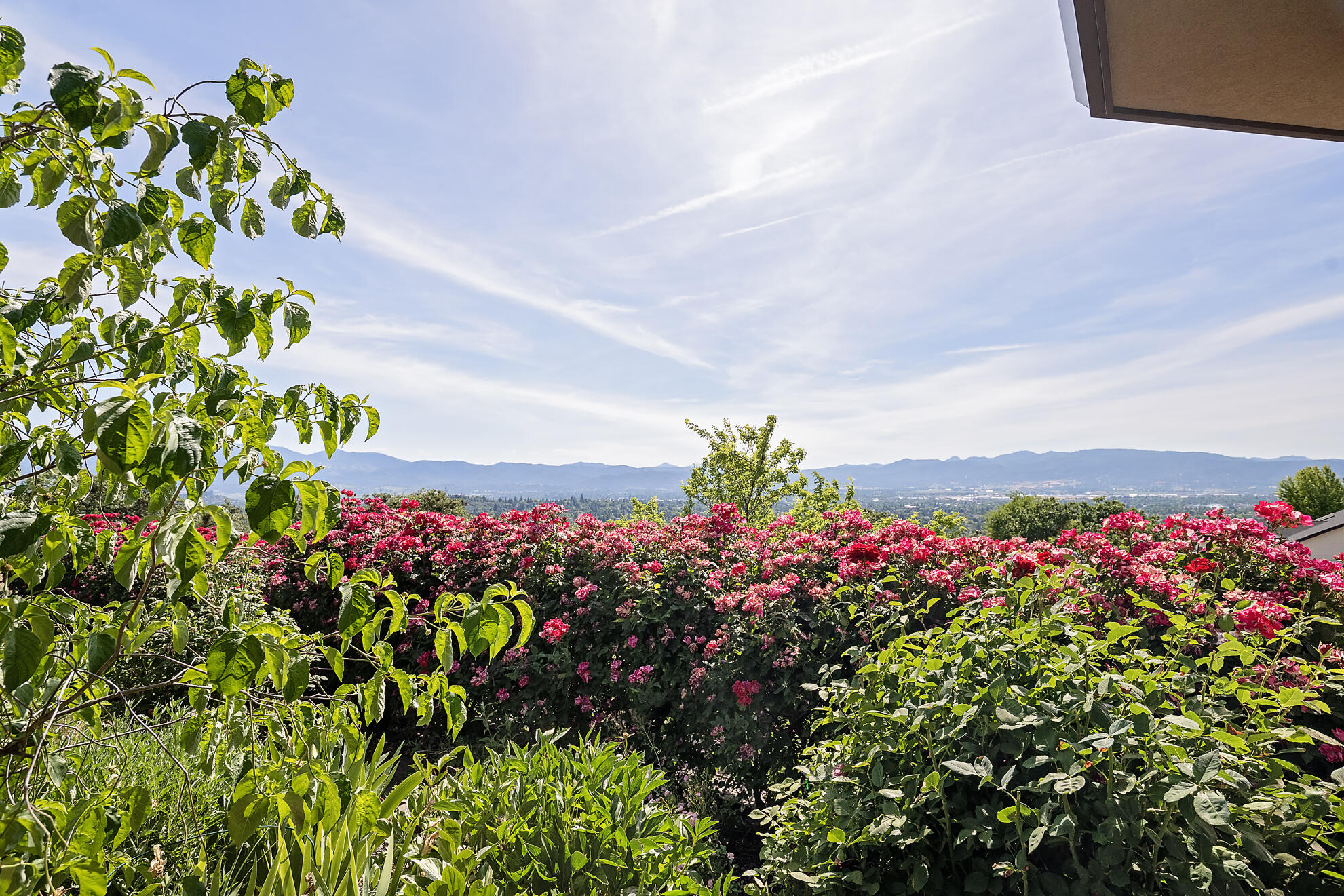 East Terrace Estates - Residential