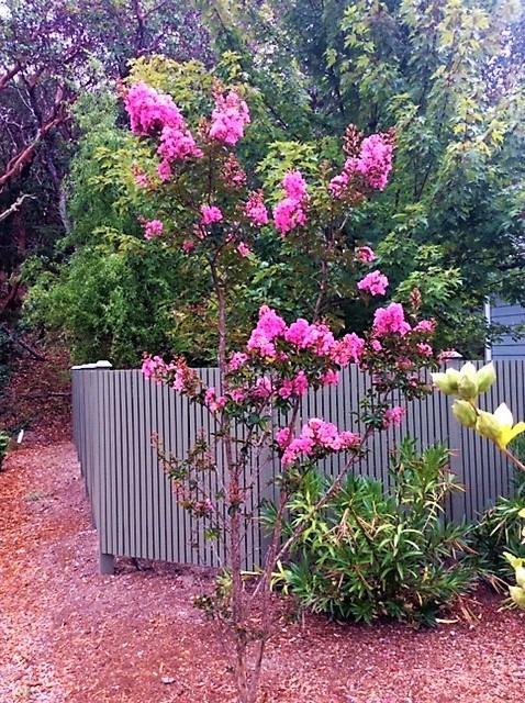 Meadow Wood - Residential