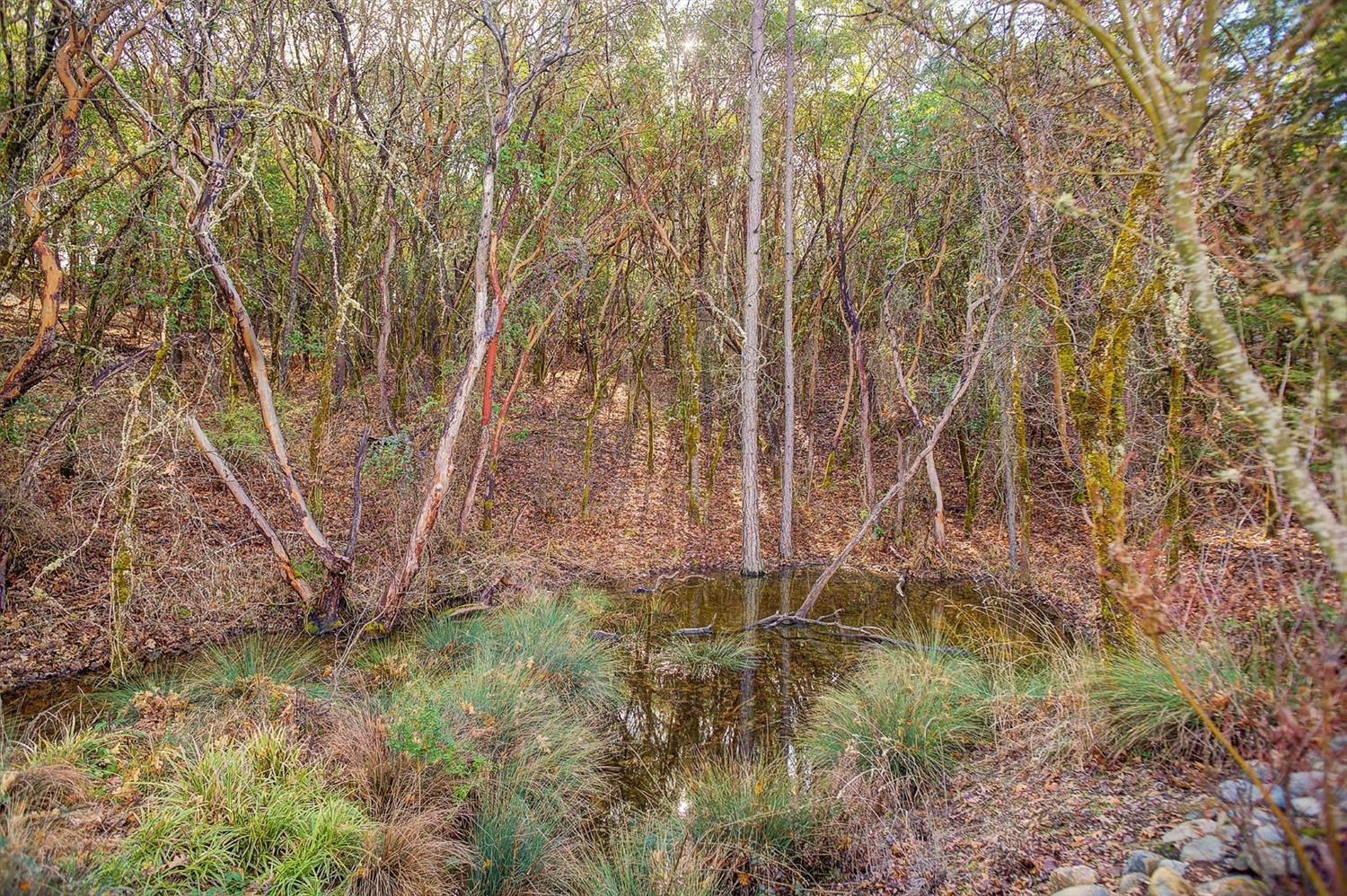 Meadow Wood - Residential