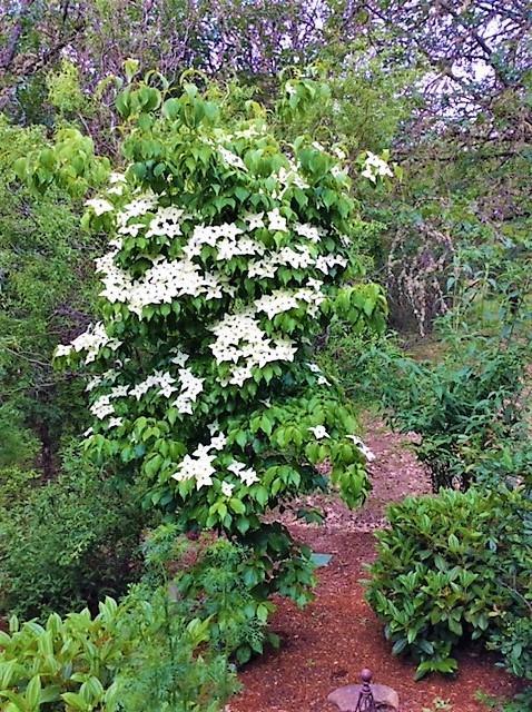 Meadow Wood - Residential