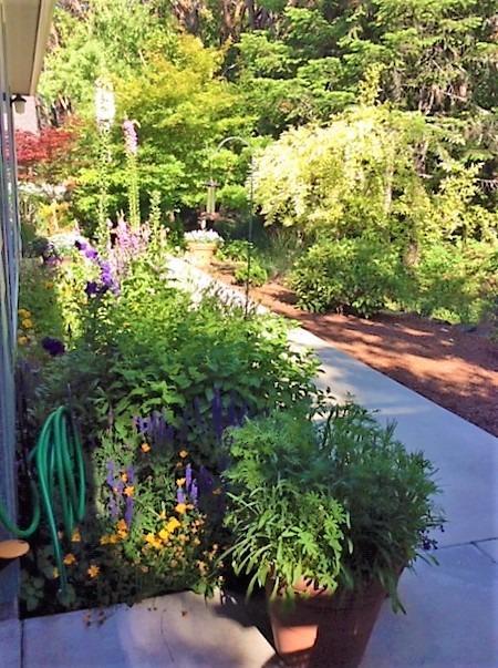 Meadow Wood - Residential