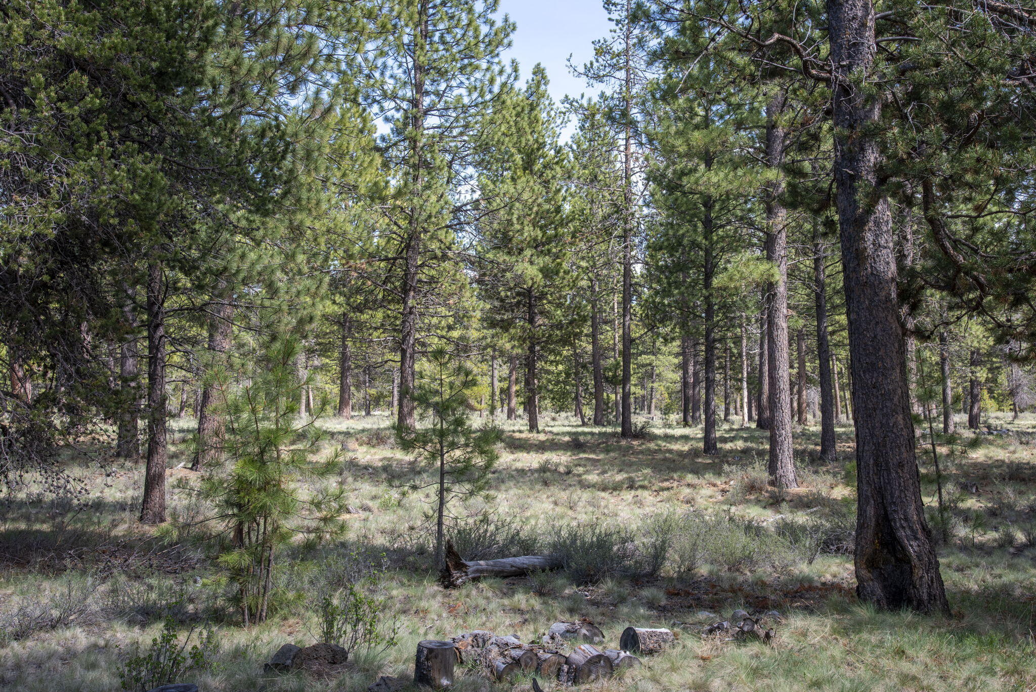 Fairway Point Villag - Residential