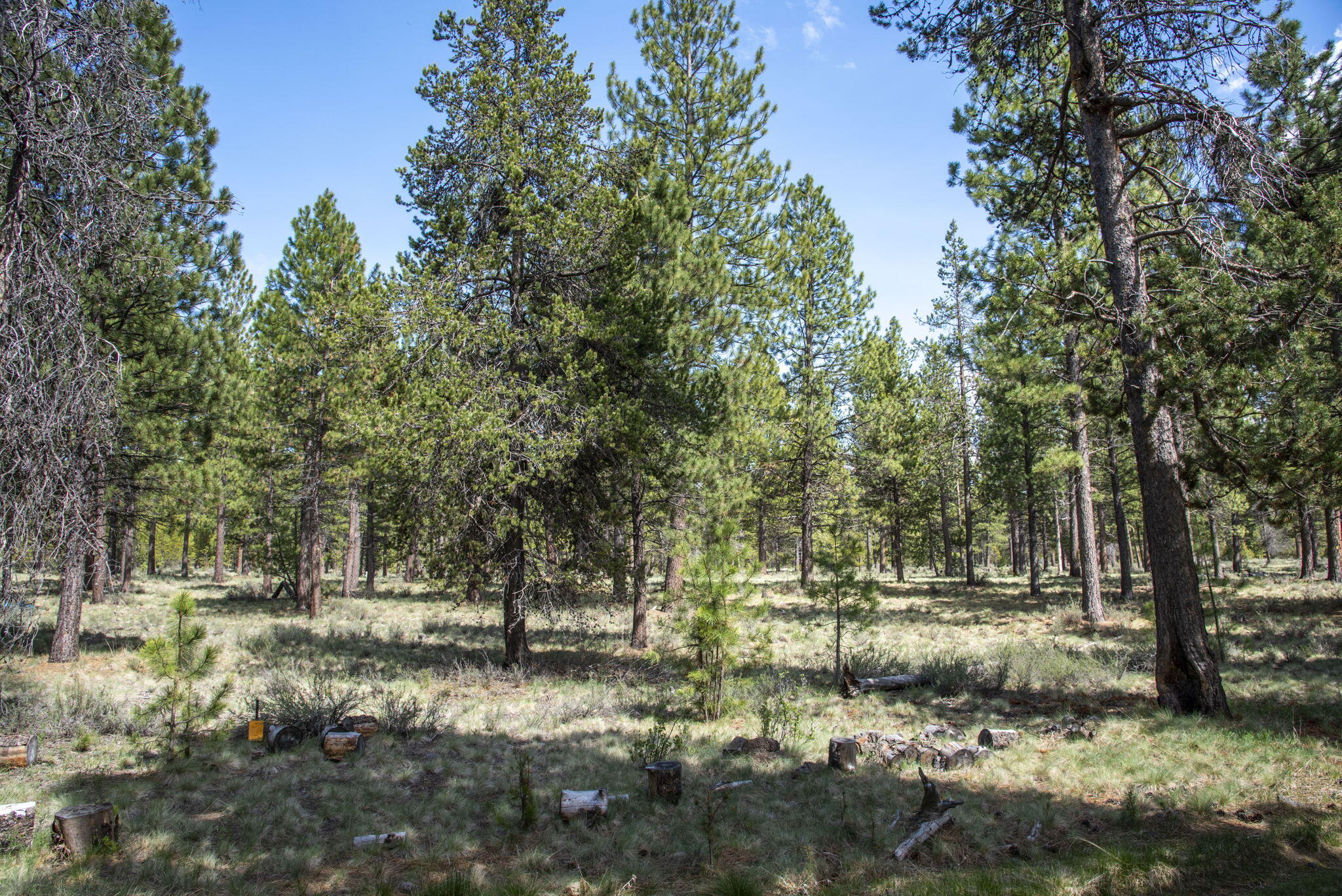 Fairway Point Villag - Residential