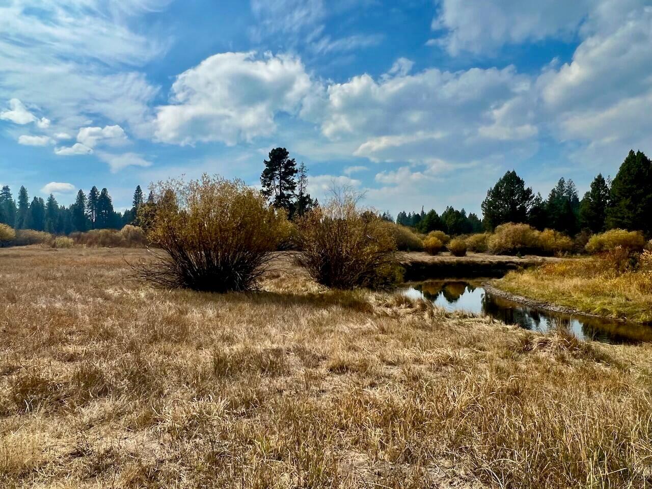Wagon Trail Acreages - Land