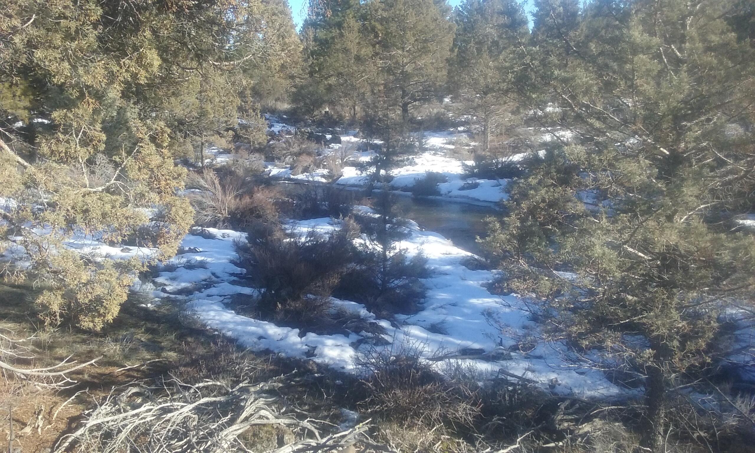 Klamath Falls Forest Estates -Hwy 66 Unit -Plat No. 2 - Residential