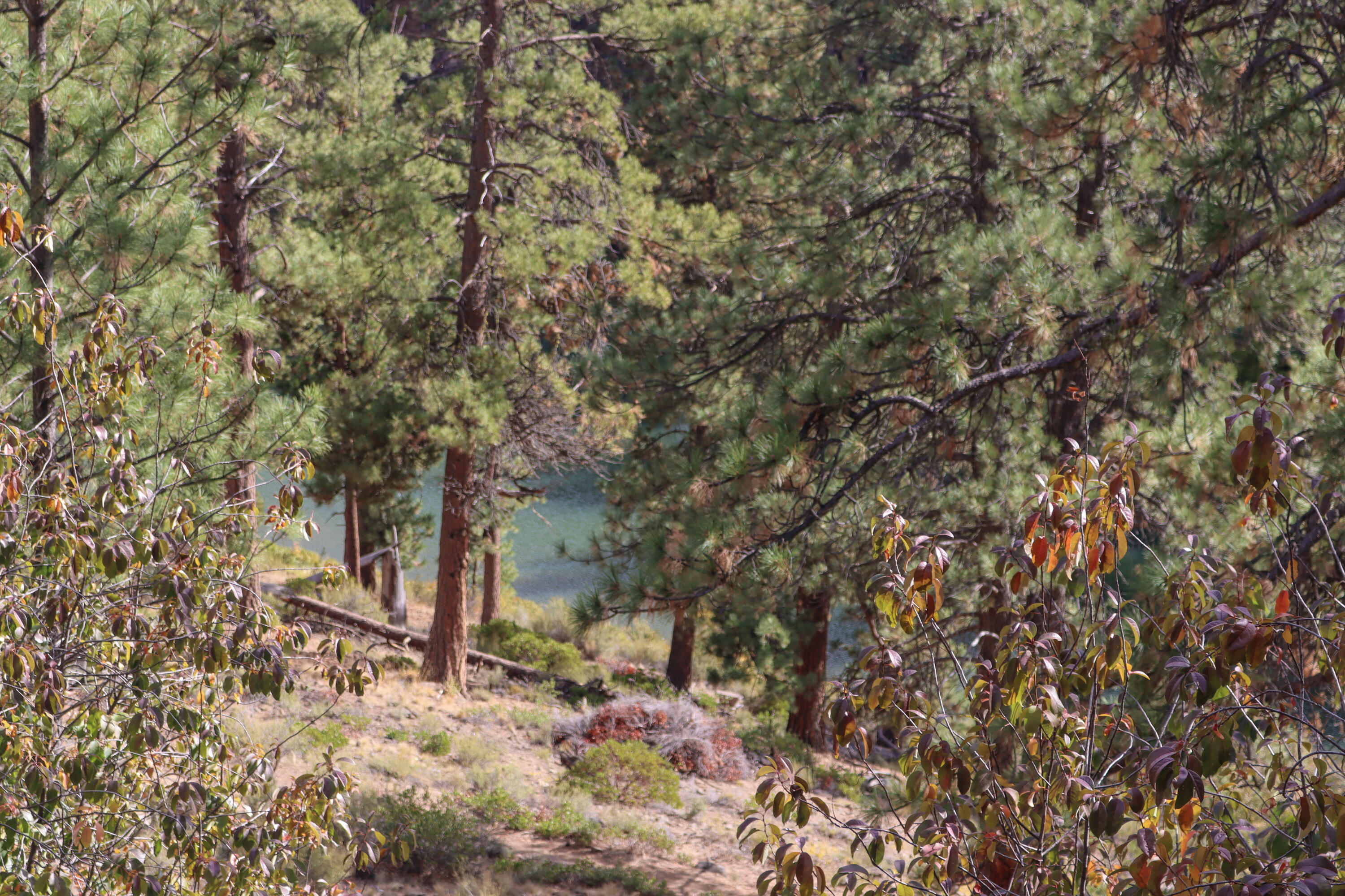 Inn Of The 7th - Residential