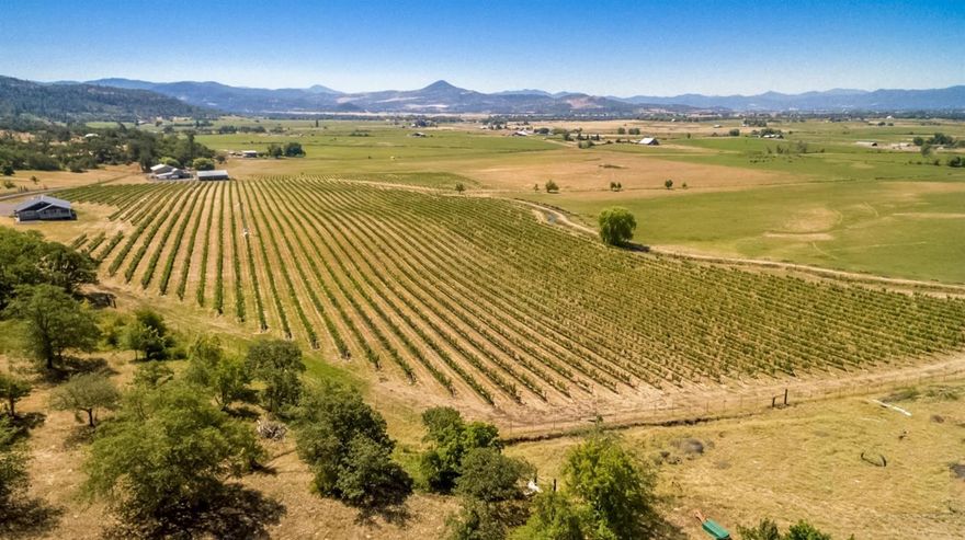 Deal of the decade, an absolutely incredible value for this one of a kind property! Stedia Farms & Vineyard is a top of the line 77+ acre estate (EFU), complete with 22+ acres in grapes, approximately 35 acres in pasture, and endless potential for the wine or farming enthusiast. With 74.3 acres irrigated via 2 different sources, water is in abundant supply. No expense was spared when developing this property: root stock specific to the site; state of the art filtration and drip irrigation; steel trellises; 6,500 sf of warehouse/ barn space; extensive shop space (over 11,000 sf in all); man cave; 1 bed, 1 bath guest quarters; Triton V-10 Orchard Fans; 8' steel perimeter fencing; paved drive and full RV hookups. The home is tastefully updated; open and bright with gorgeous views! Continue the vineyard operation, run livestock or follow your own dream, this property offers so many possibilities. All of this and conveniently located just 10 minutes from Medford. Don't wait on this incredib