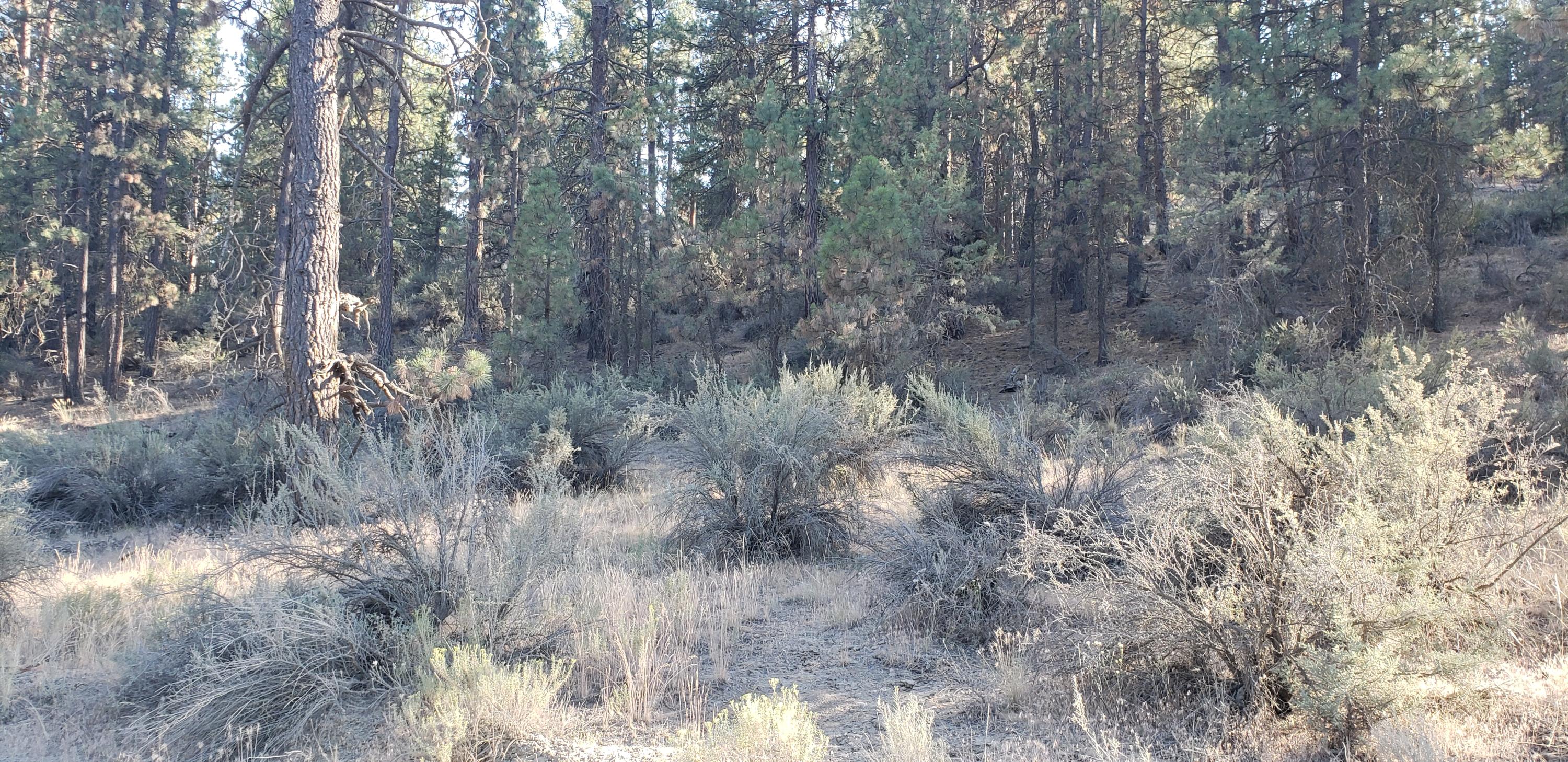 Klamath Falls Forest Estates -Hwy 66 Unit -Plat No. 2 - Land