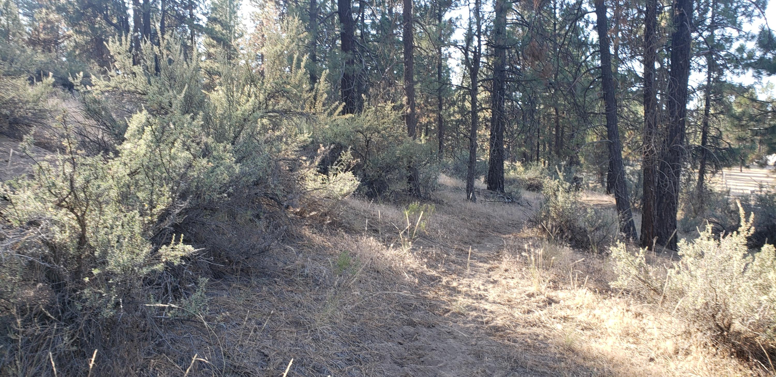 Klamath Falls Forest Estates -Hwy 66 Unit -Plat No. 2 - Land