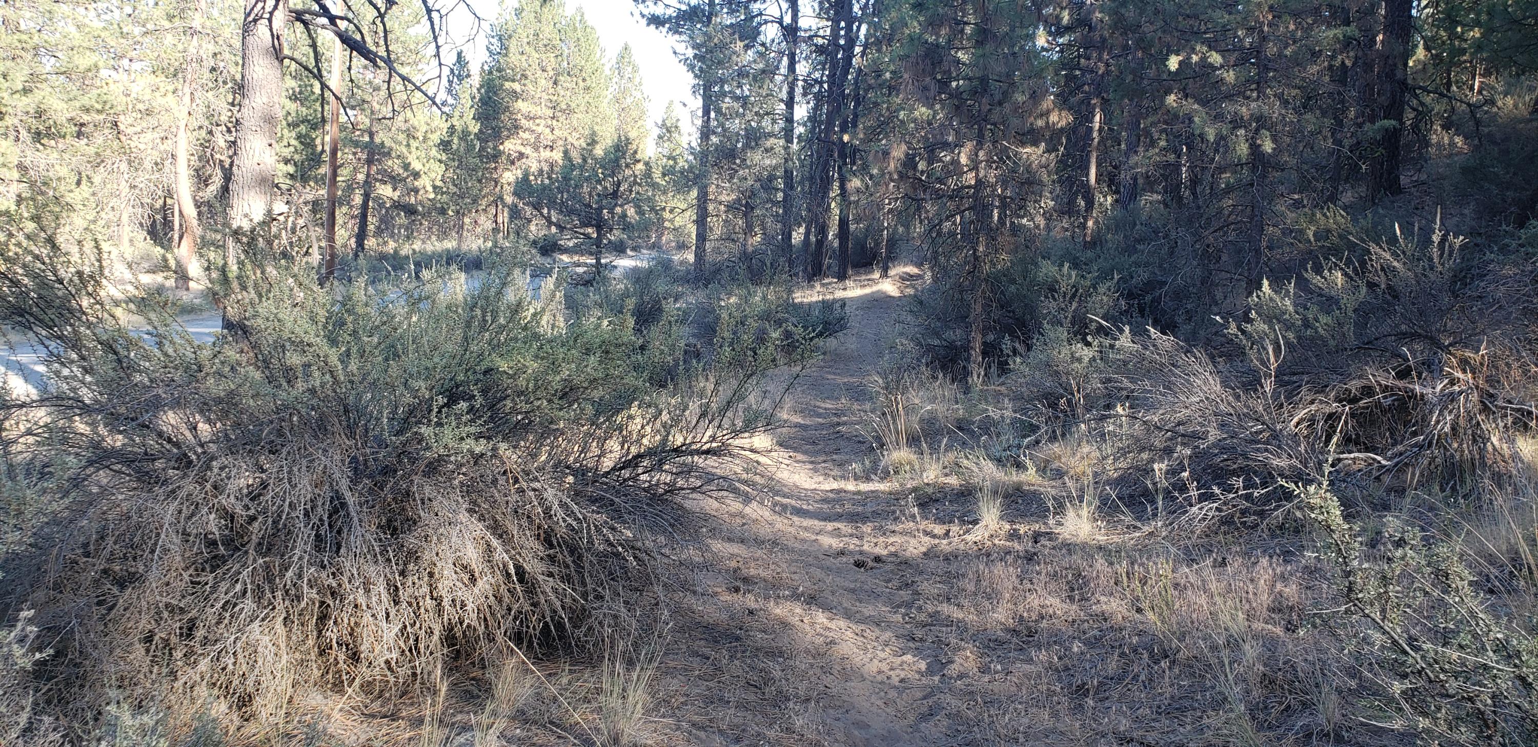 Klamath Falls Forest Estates -Hwy 66 Unit -Plat No. 2 - Land