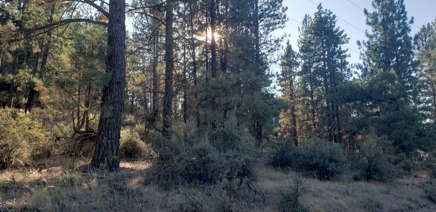 3.55 wooded acres with standard septic approval located within the Klamath Falls Forest Estates subdivision just off of Hwy 140 E approximately 40 minutes from Klamath Falls.