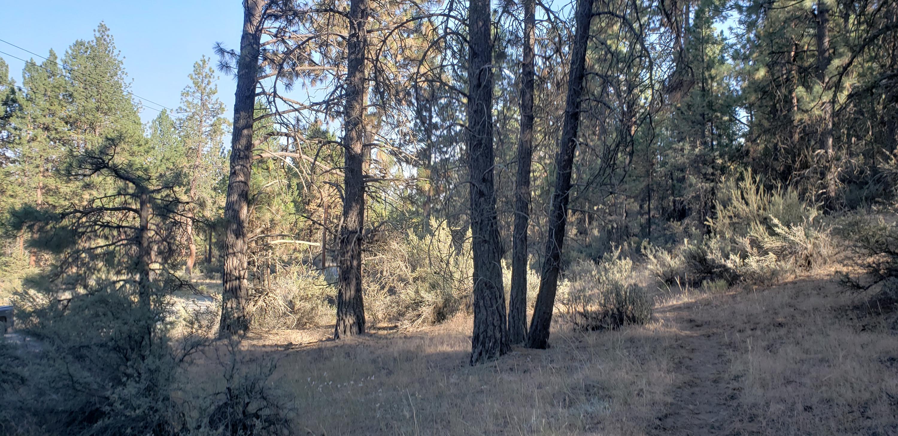 Klamath Falls Forest Estates -Hwy 66 Unit -Plat No. 2 - Land