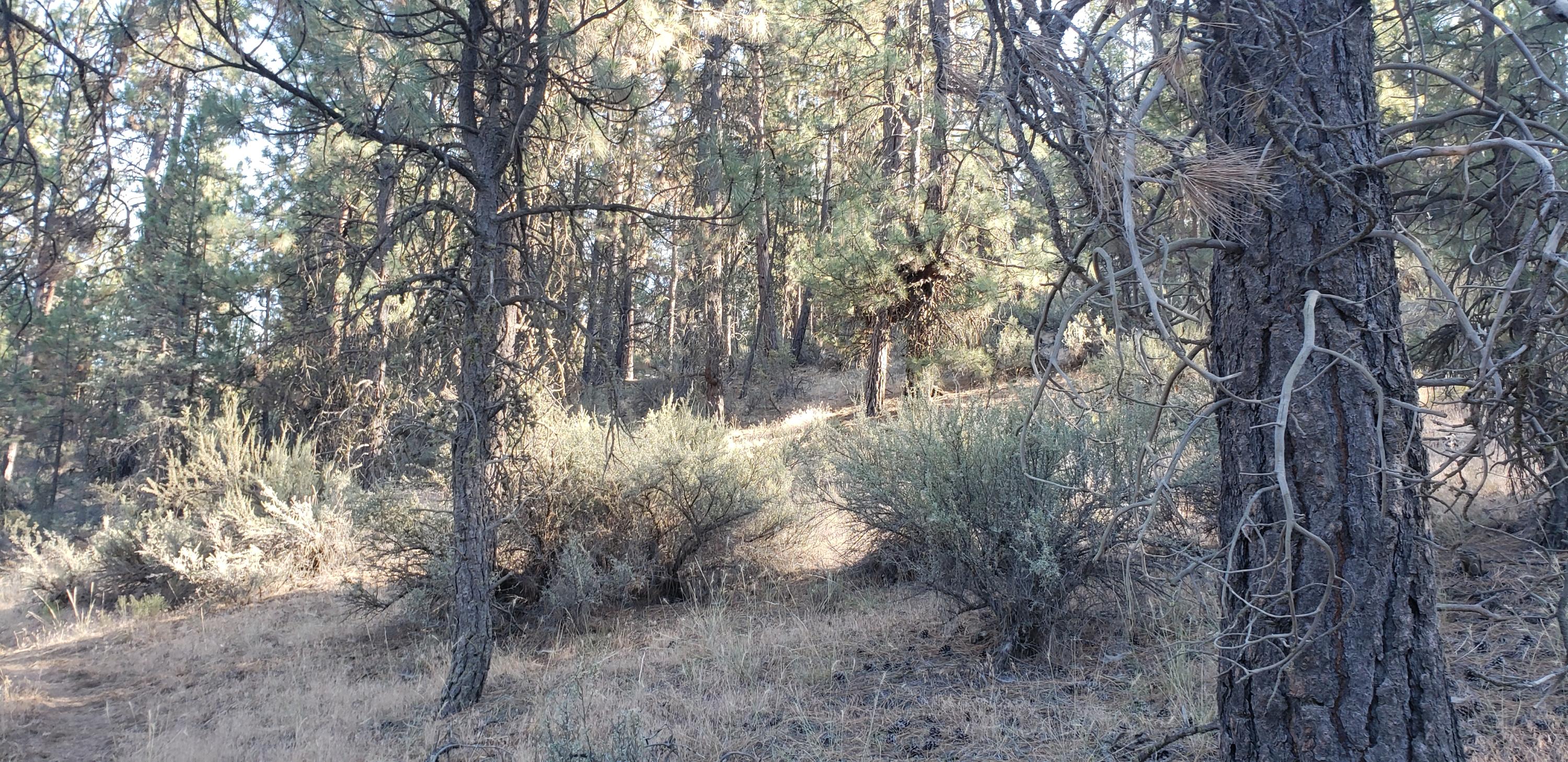 Klamath Falls Forest Estates -Hwy 66 Unit -Plat No. 2 - Land