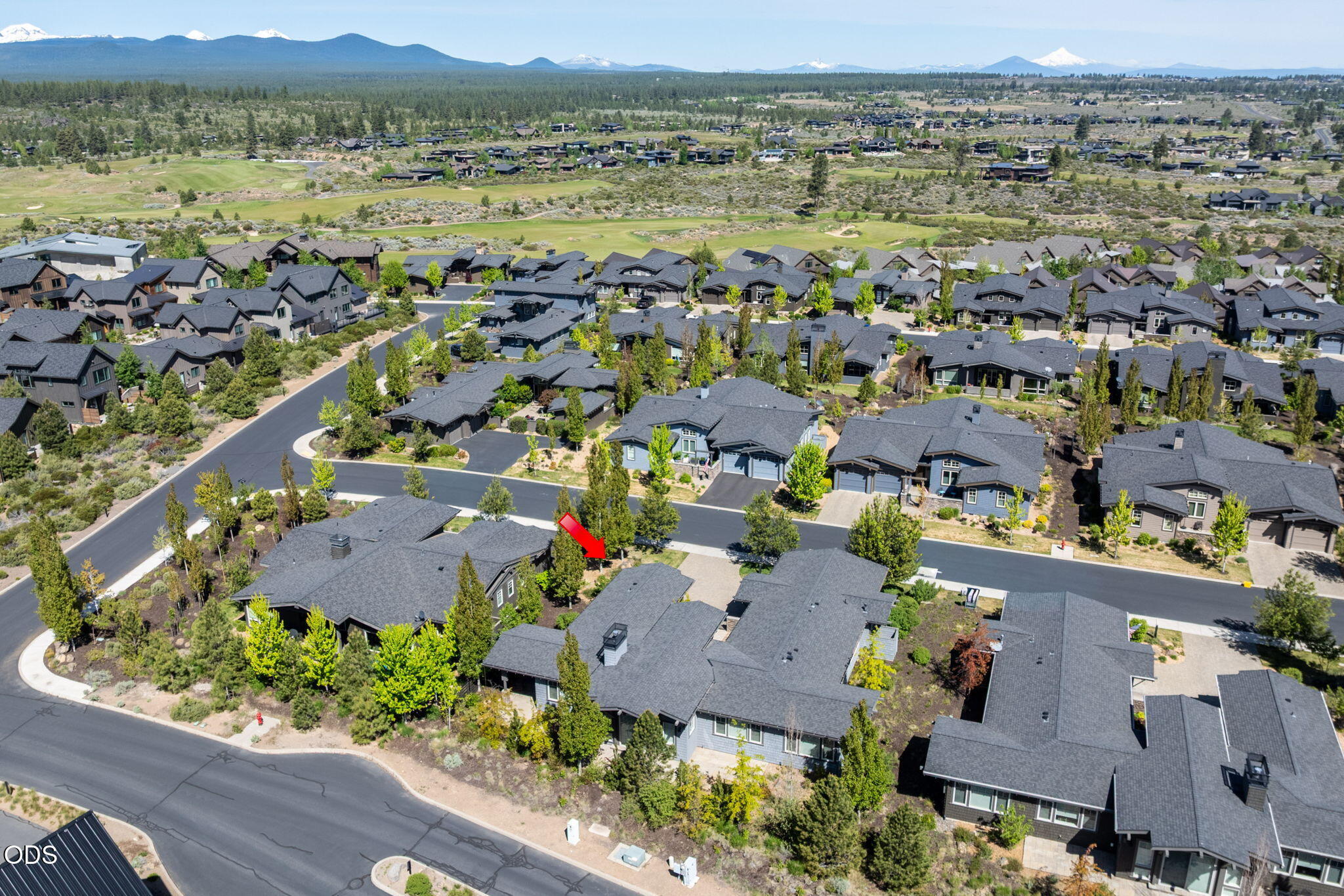 19301 Alianna Loop