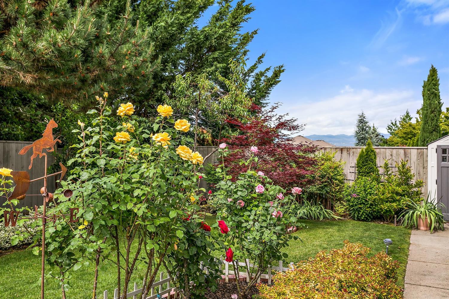 Summerfield - Residential