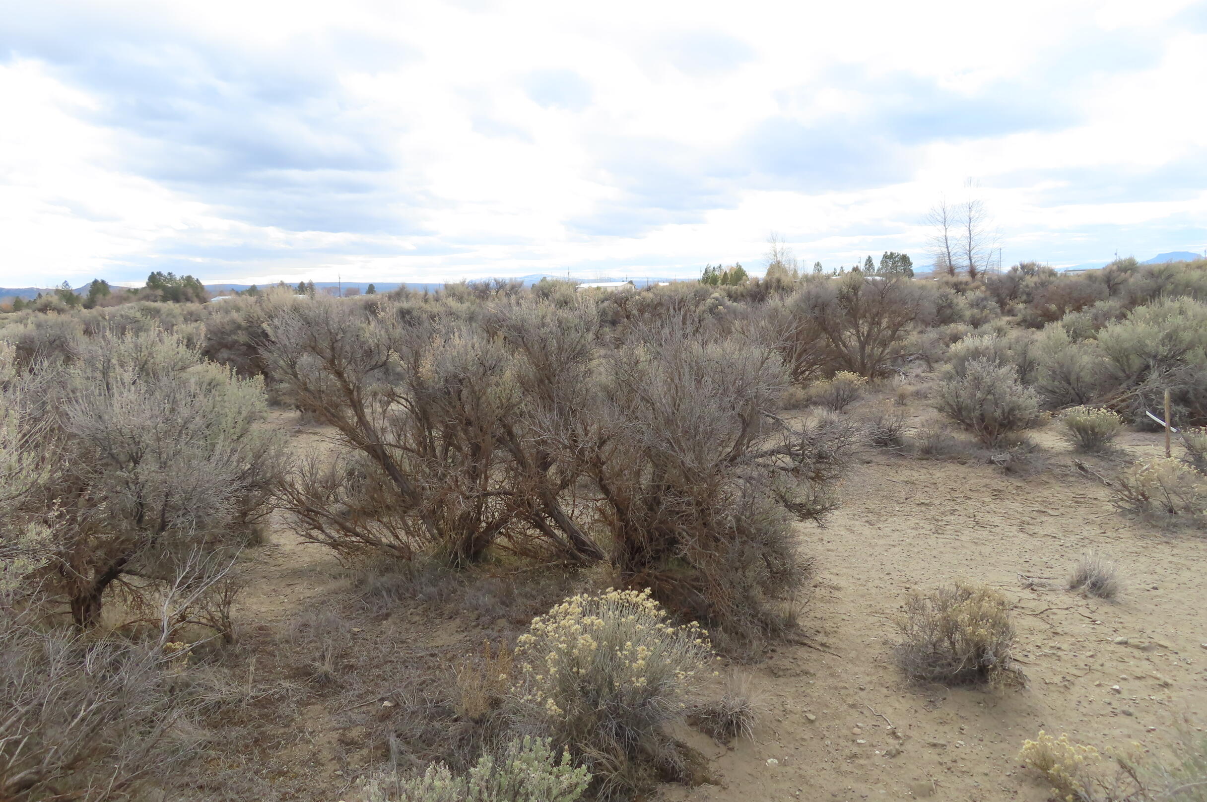 Christmas Valley Unit10 - Land