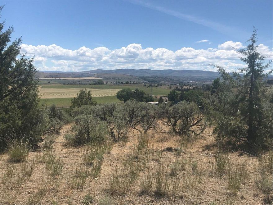 Only a few lots with Cascade mountain views left. You will enjoy this 3 bedroom, 2 bath home on 2 acres as you watch the wildlife and sunsets surrounded by pristine farmland. You can choose colors and some customizations before the home is completed! Don't wait, enjoy your new home.